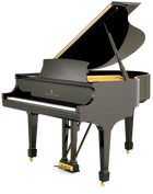 Grand piano with top open.